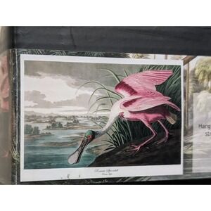 Audubon Roseate Spoonbill Wall Art Magpie Cotton Scroll Chart 39x29 MA1067